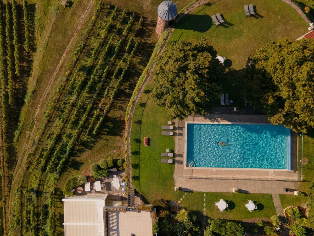 Chateau D'Isenbourg & Spa Rouffach Exterior foto