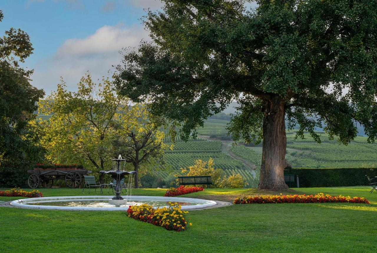 Chateau D'Isenbourg & Spa Rouffach Exterior foto