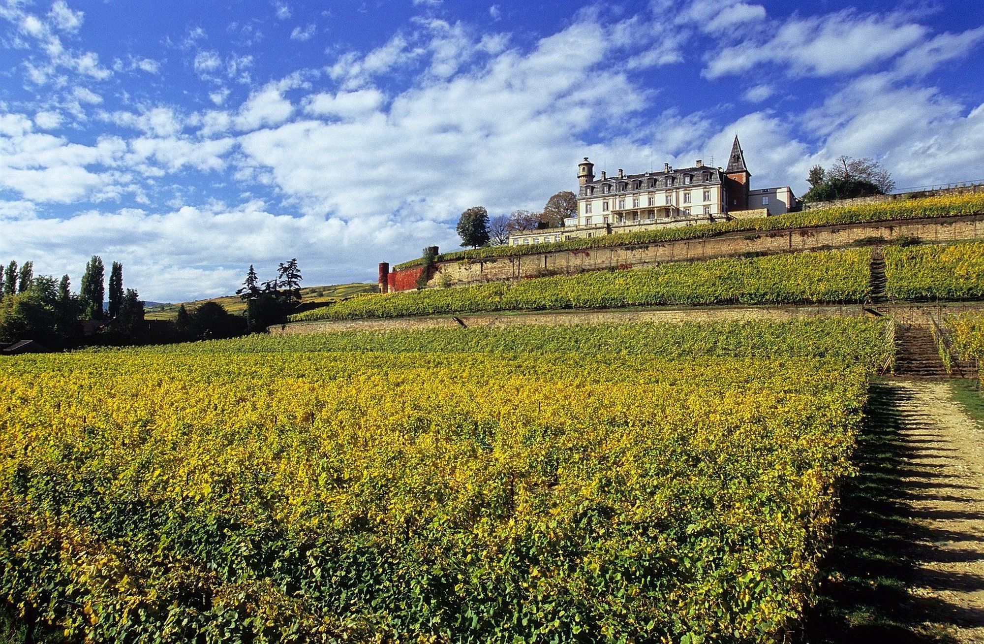 Chateau D'Isenbourg & Spa Rouffach Exterior foto