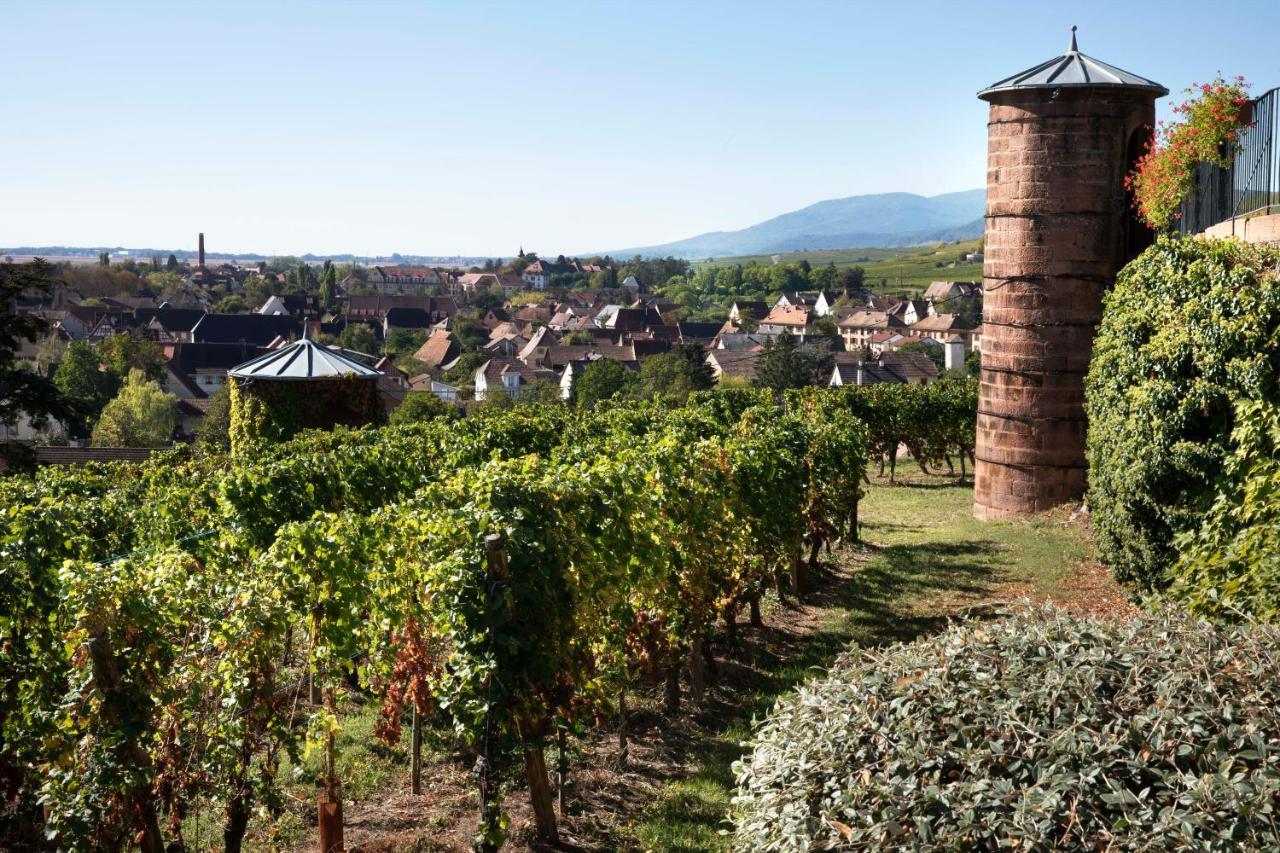 Chateau D'Isenbourg & Spa Rouffach Exterior foto