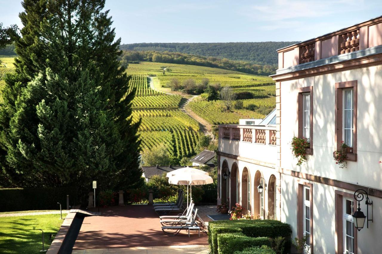 Chateau D'Isenbourg & Spa Rouffach Exterior foto